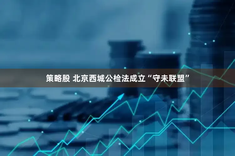 策略股 北京西城公检法成立“守未联盟”