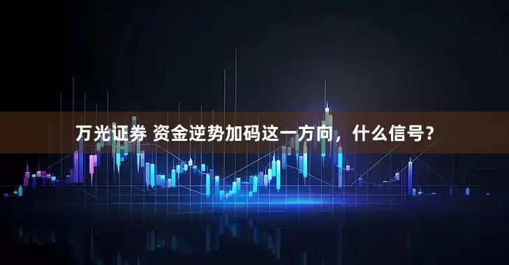 万光证券 资金逆势加码这一方向，什么信号？