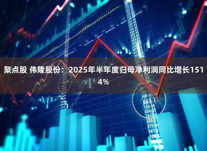 聚点股 伟隆股份：2025年半年度归母净利润同比增长1514%